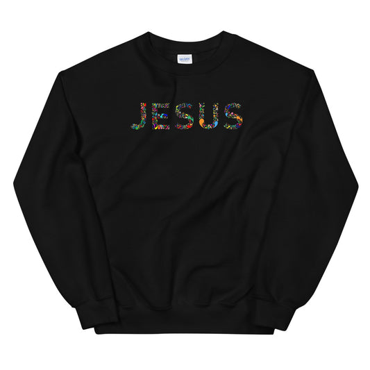 Jesus Color Sweatshirt - My Fashion For Christ | Canaan 